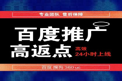 网络营销实战：成功竞价推广案例分析